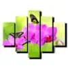 5 dielny obraz ruzova orchidea s motylmi-Viac dielny obraz-Moderne obrazy na stenu-Obraz na stenu