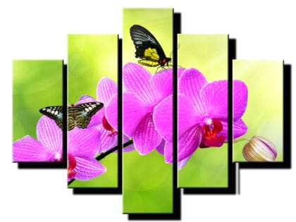 5 dielny obraz ruzova orchidea s motylmi-Viac dielny obraz-Moderne obrazy na stenu-Obraz na stenu