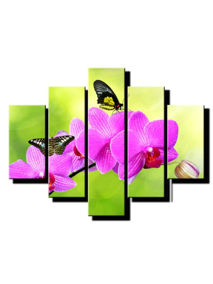 5 dielny obraz ruzova orchidea s motylmi-Viac dielny obraz-Moderne obrazy na stenu-Obraz na stenu