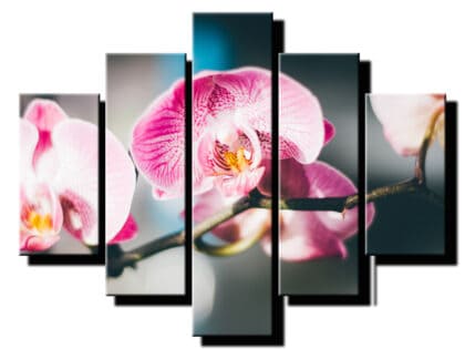 5 dielny obraz ruzovo biela orchidea s konarikom-Viac dielny obraz-Moderne obrazy na stenu-Obraz na stenu