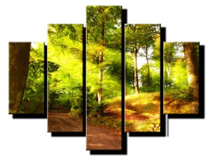 5 dielny obraz slnecne luce-Viac dielny obraz-moderne obrazy na stenu