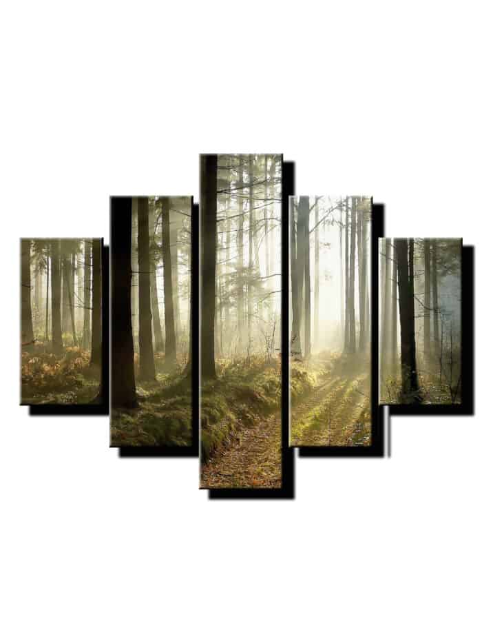 5 dielny obraz slnecne luce v hore-Viac dielny obraz-moderne obrazy na stenu