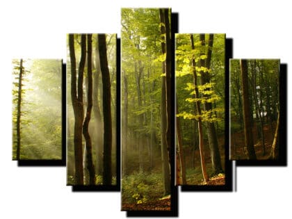 5 dielny obraz slnecne luce v lese-Viac dielny obraz-moderne obrazy na stenu