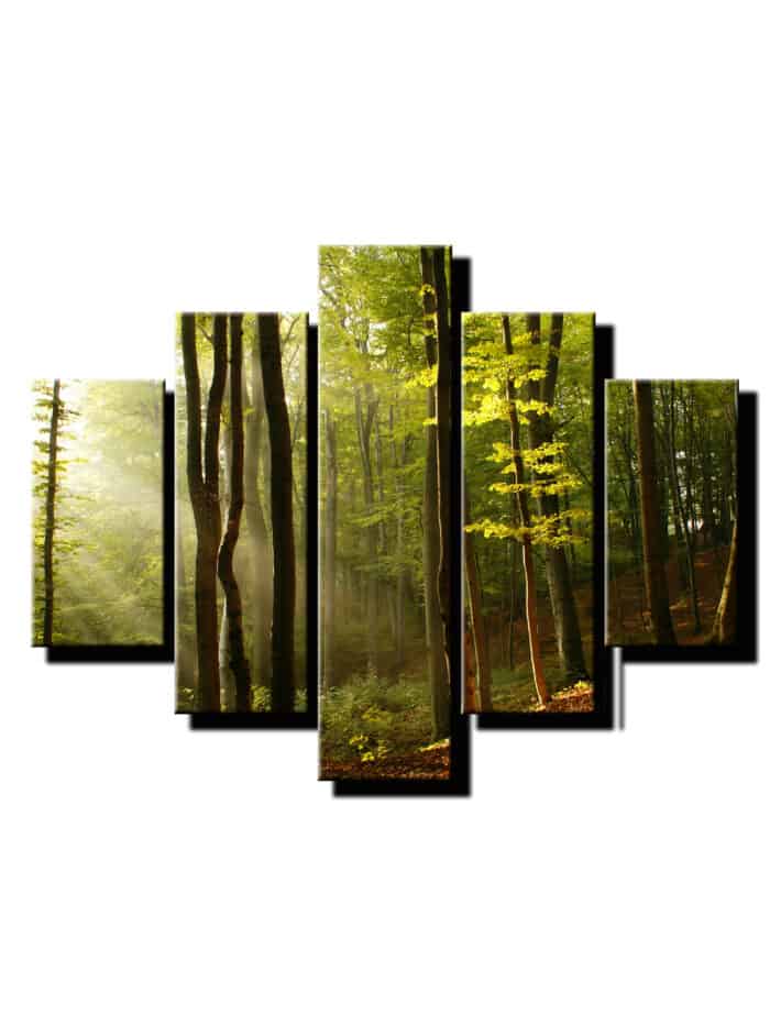 5 dielny obraz slnecne luce v lese-Viac dielny obraz-moderne obrazy na stenu