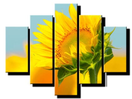 5 dielny obraz slnecnica-Viac dielny obraz-moderne obrazy na stenu
