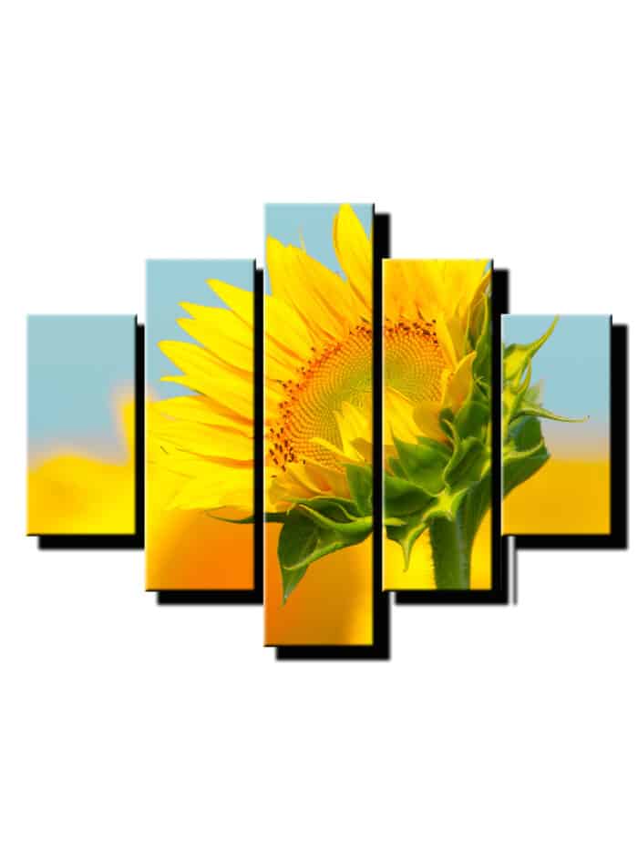 5 dielny obraz slnecnica-Viac dielny obraz-moderne obrazy na stenu