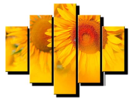 5 dielny obraz slnecnice-Viac dielny obraz-moderne obrazy na stenu