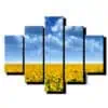 5 dielny obraz slnecnice kvitnuce na poli-Viac dielny obraz-moderne obrazy na stenu