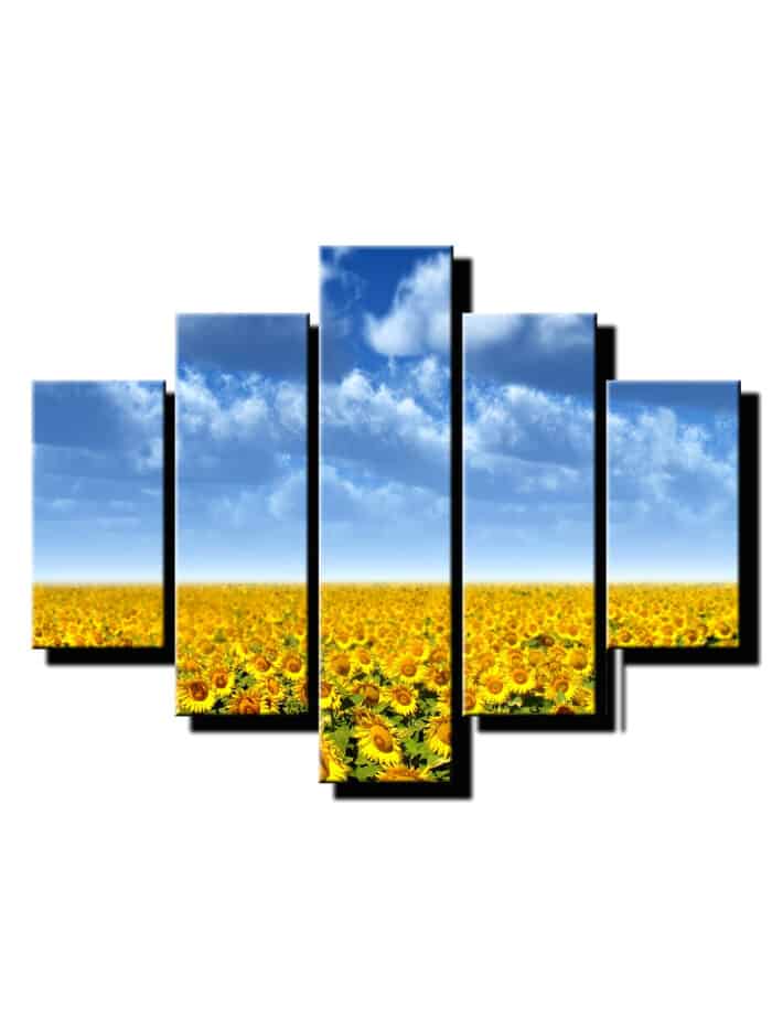 5 dielny obraz slnecnice kvitnuce na poli-Viac dielny obraz-moderne obrazy na stenu