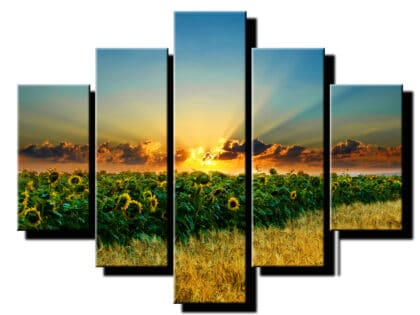 5 dielny obraz slnecnice na poli-Viac dielny obraz-moderne obrazy na stenu