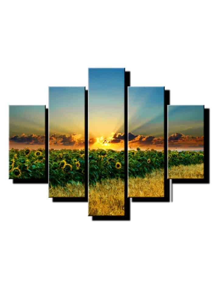 5 dielny obraz slnecnice na poli-Viac dielny obraz-moderne obrazy na stenu