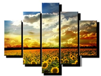 5 dielny obraz slnecnice v poli-Viac dielny obraz-moderne obrazy na stenu