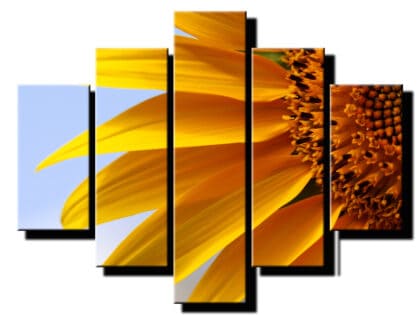 5 dielny obraz slnecnicovy nektar-Viac dielny obraz-moderne obrazy na stenu