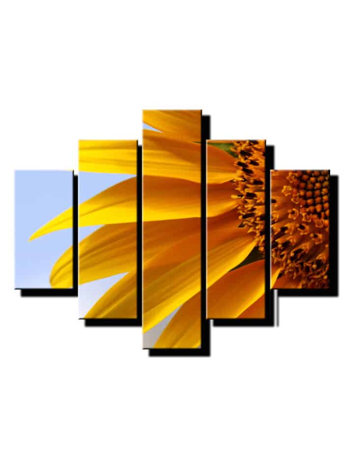 5 dielny obraz slnecnicovy nektar-Viac dielny obraz-moderne obrazy na stenu