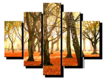 5 dielny obraz stromy na jeseň-Viac dielny obraz-moderne obrazy na stenu