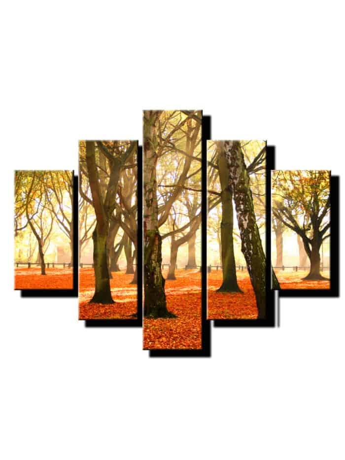5 dielny obraz stromy na jeseň-Viac dielny obraz-moderne obrazy na stenu