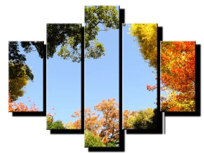 5 dielny obraz stromy s oblohou-Viac dielny obraz-moderne obrazy na stenu