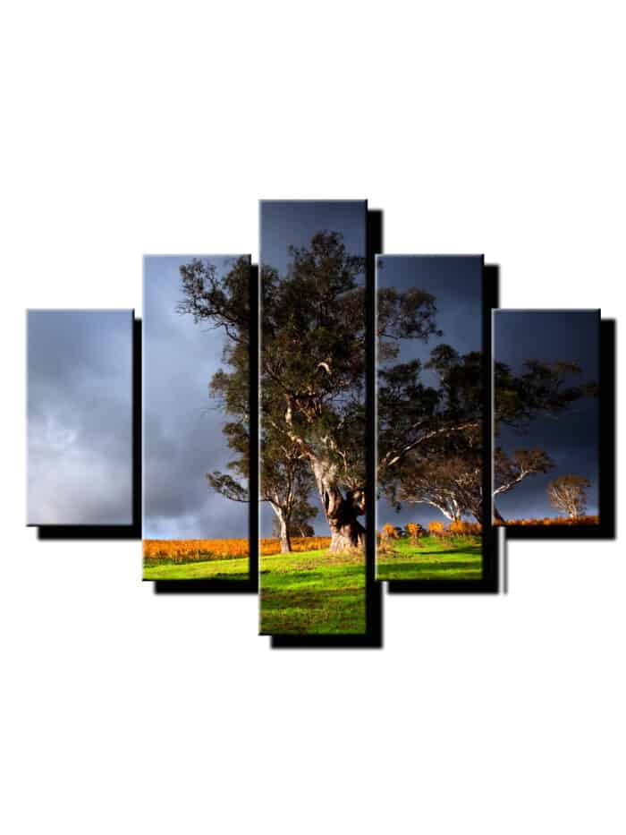 5 dielny obraz stromy v búrke-Viac dielny obraz-moderne obrazy na stenu
