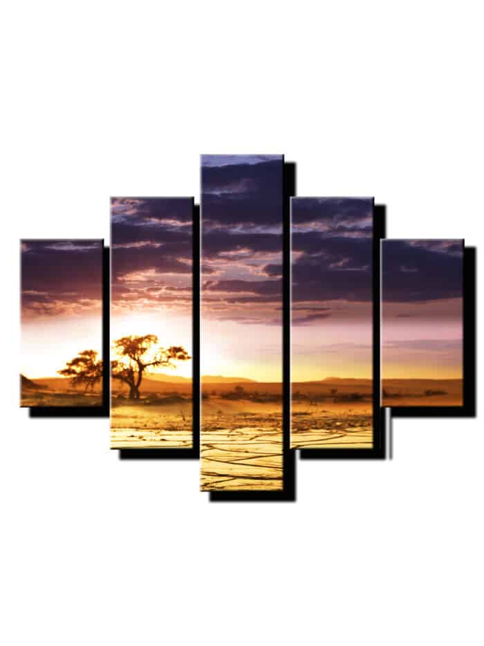 5 dielny obraz sucha zem detail-Viac dielny obraz-moderne obrazy na stenu