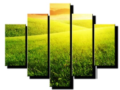 5 dielny obraz trava v prirode-Viac dielny obraz-moderne obrazy na stenu