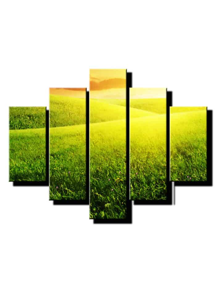5 dielny obraz trava v prirode-Viac dielny obraz-moderne obrazy na stenu