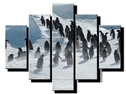 5 dielny obraz tucniaky-Viac dielny obraz-moderne obrazy na stenu