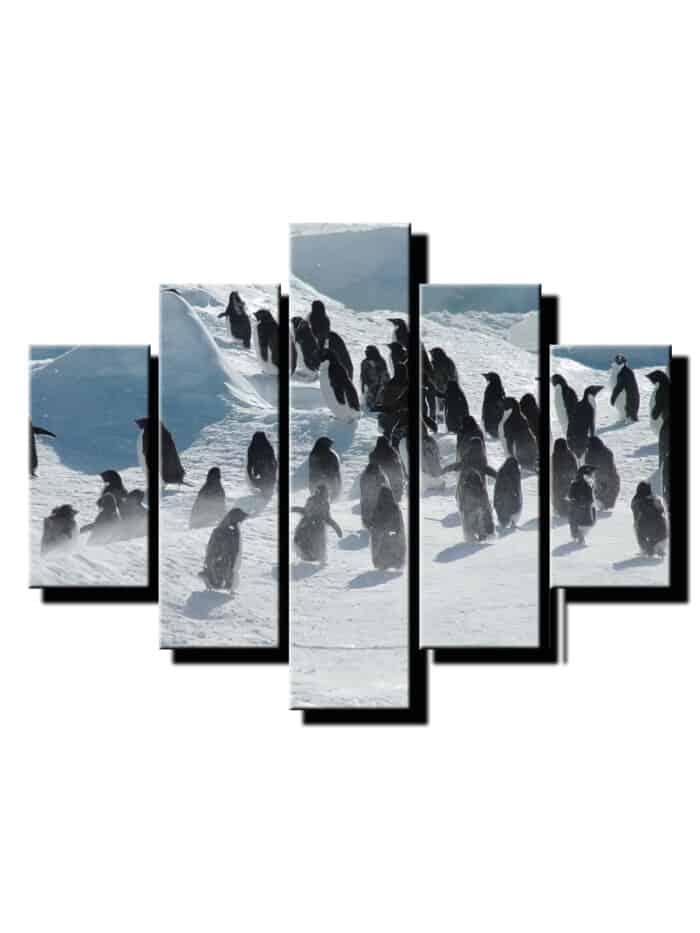 5 dielny obraz tucniaky-Viac dielny obraz-moderne obrazy na stenu