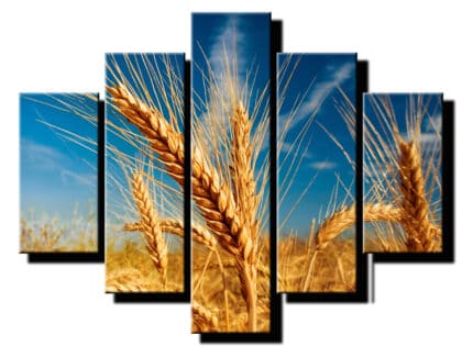 5 dielny obraz tvrda psenica-Viac dielny obraz-moderne obrazy na stenu