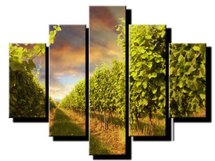 5 dielny obraz vinarstvo-Viac dielny obraz-moderne obrazy na stenu
