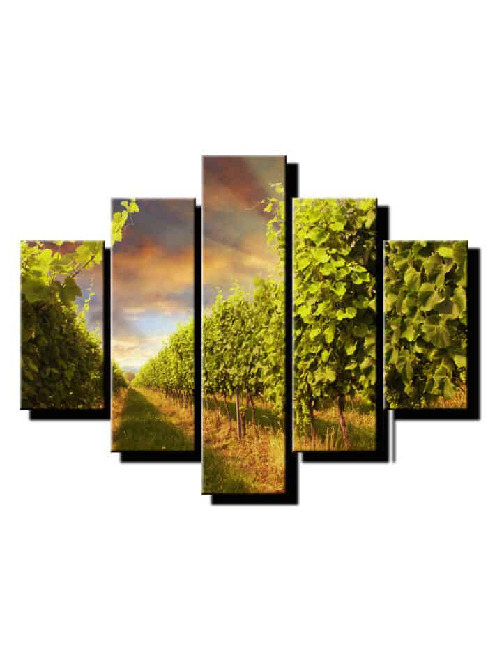 5 dielny obraz vinarstvo-Viac dielny obraz-moderne obrazy na stenu