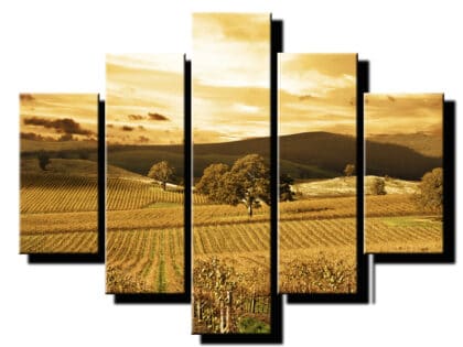 5 dielny obraz vinic-Viac dielny obraz-moderne obrazy na stenu