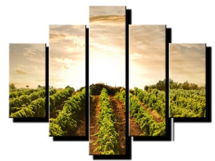 5 dielny obraz vinohrad 2-Viac dielny obraz-moderne obrazy na stenu