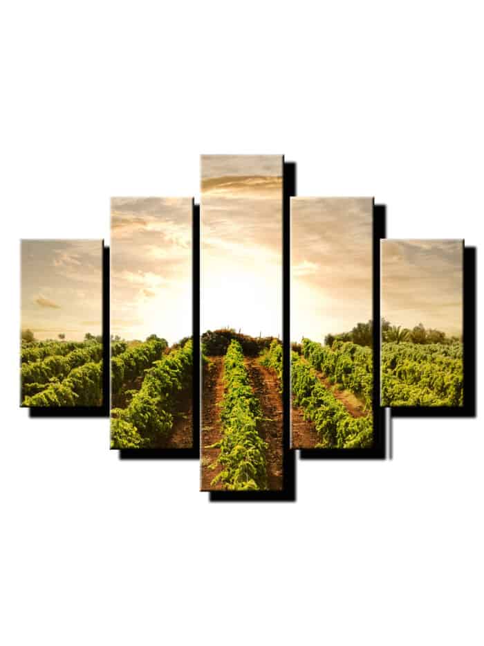5 dielny obraz vinohrad 2-Viac dielny obraz-moderne obrazy na stenu