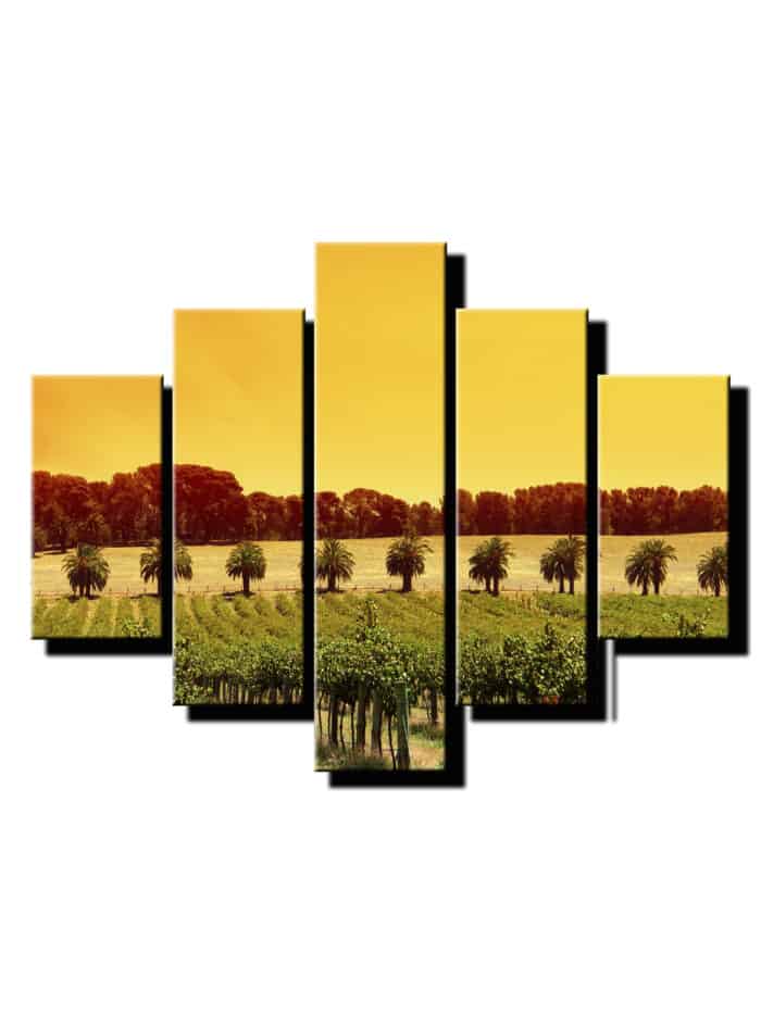 5 dielny obraz vinohrad-Viac dielny obraz-moderne obrazy na stenu