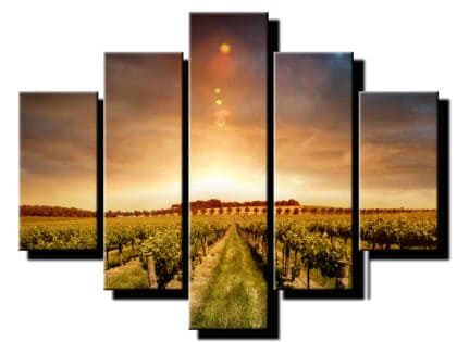 5 dielny obraz vinohrad detail-Viac dielny obraz-moderne obrazy na stenu