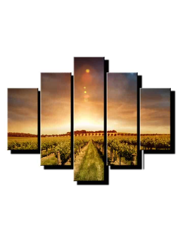 5 dielny obraz vinohrad detail-Viac dielny obraz-moderne obrazy na stenu