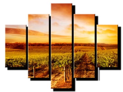5 dielny obraz vinohrad so slnkom-Viac dielny obraz-moderne obrazy na stenu