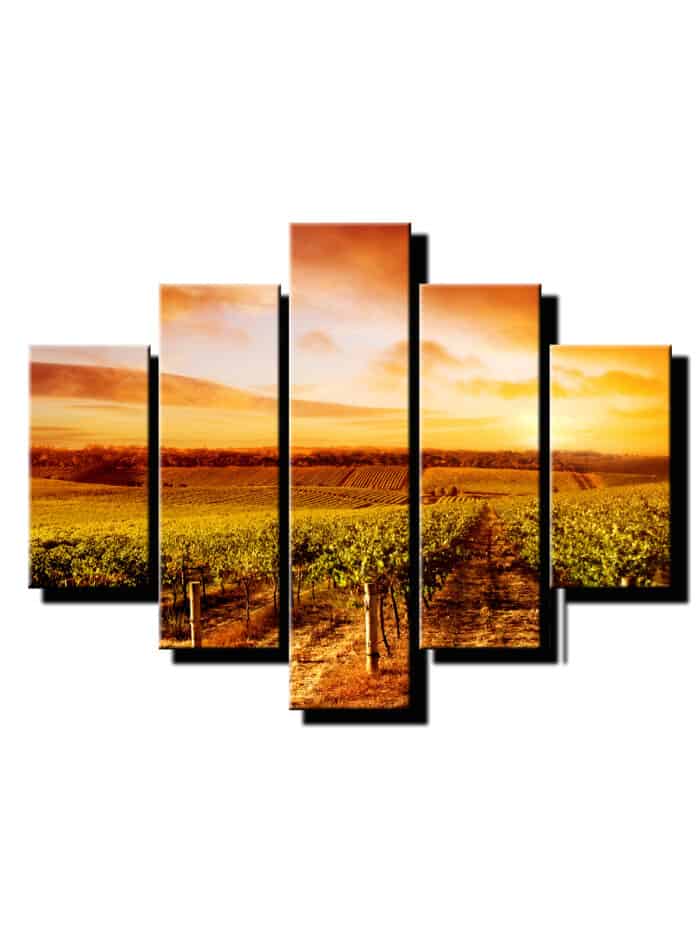 5 dielny obraz vinohrad so slnkom-Viac dielny obraz-moderne obrazy na stenu