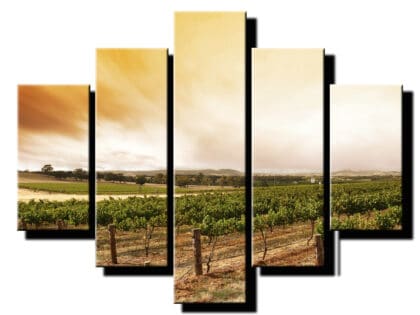 5 dielny obraz vinohrady-Viac dielny obraz-moderne obrazy na stenu