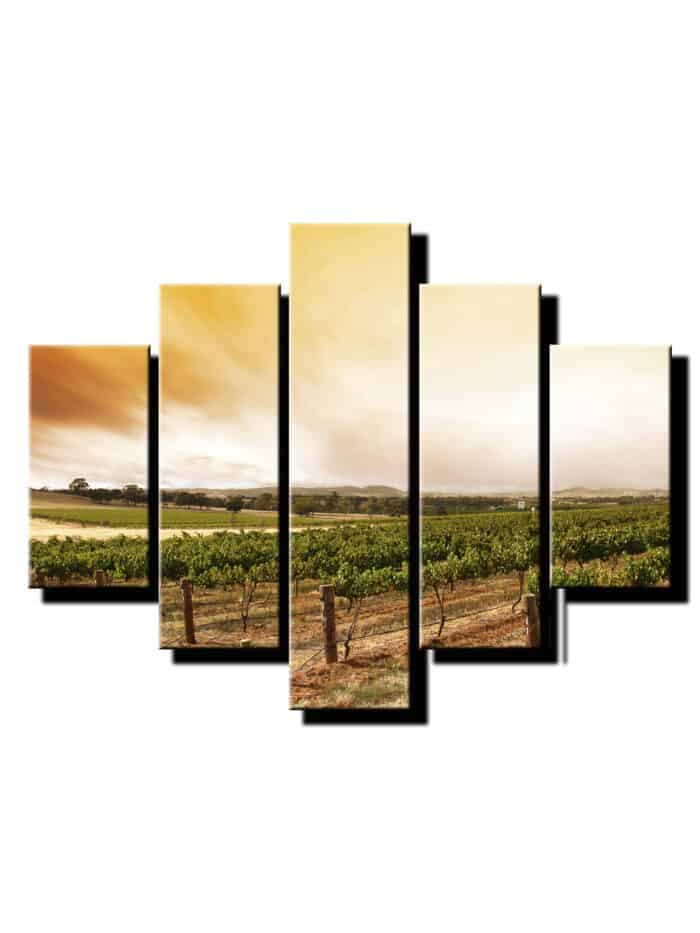 5 dielny obraz vinohrady-Viac dielny obraz-moderne obrazy na stenu