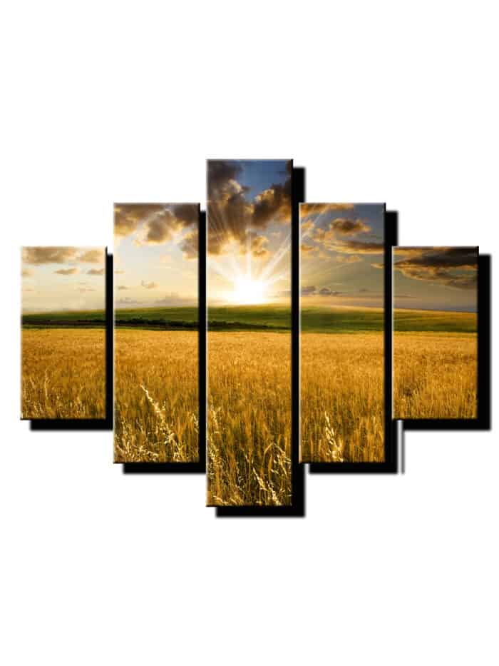5 dielny obraz vychod slnka v prirode-Viac dielny obraz-moderne obrazy na stenu
