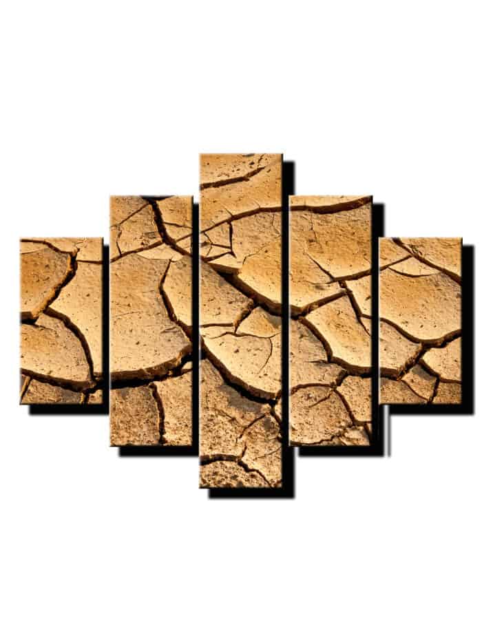 5 dielny obraz vysusena zem detail-Viac dielny obraz-moderne obrazy na stenu