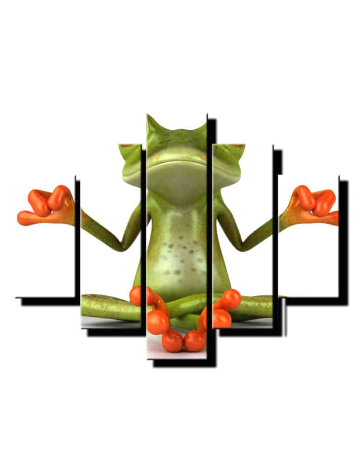 5 dielny obraz zaba medituje-Viac dielny obraz-Moderne obrazy na stenu-Obraz na stenu