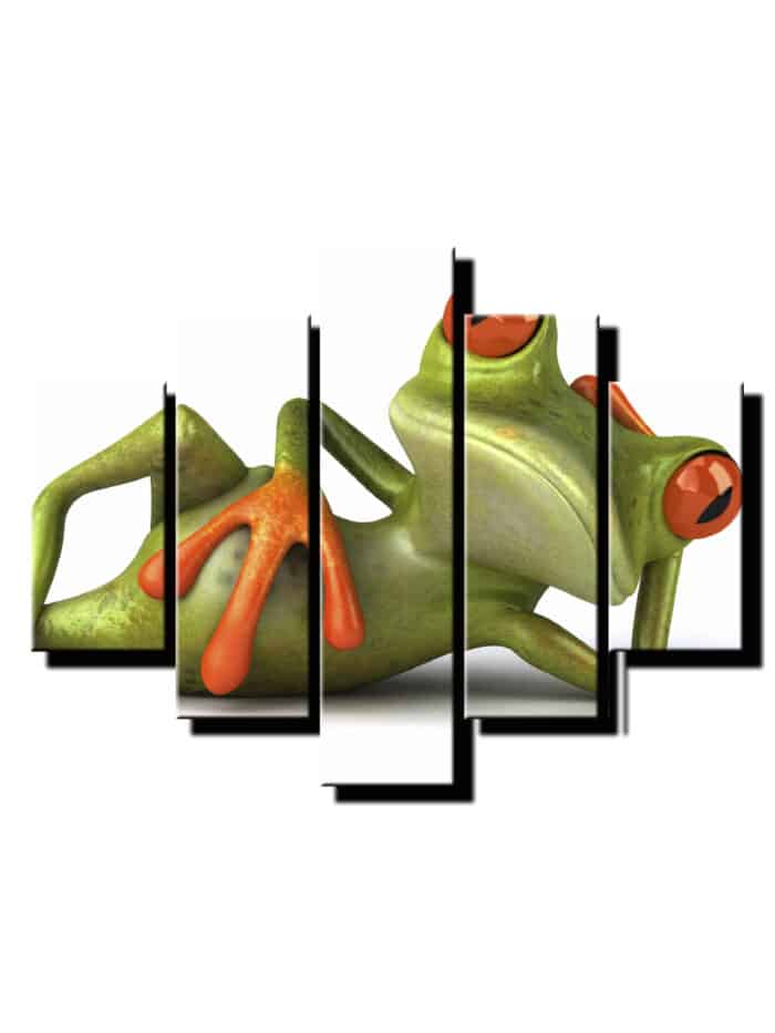 5 dielny obraz zaba oddychuje-Viac dielny obraz-Moderne obrazy na stenu-Obraz na stenu