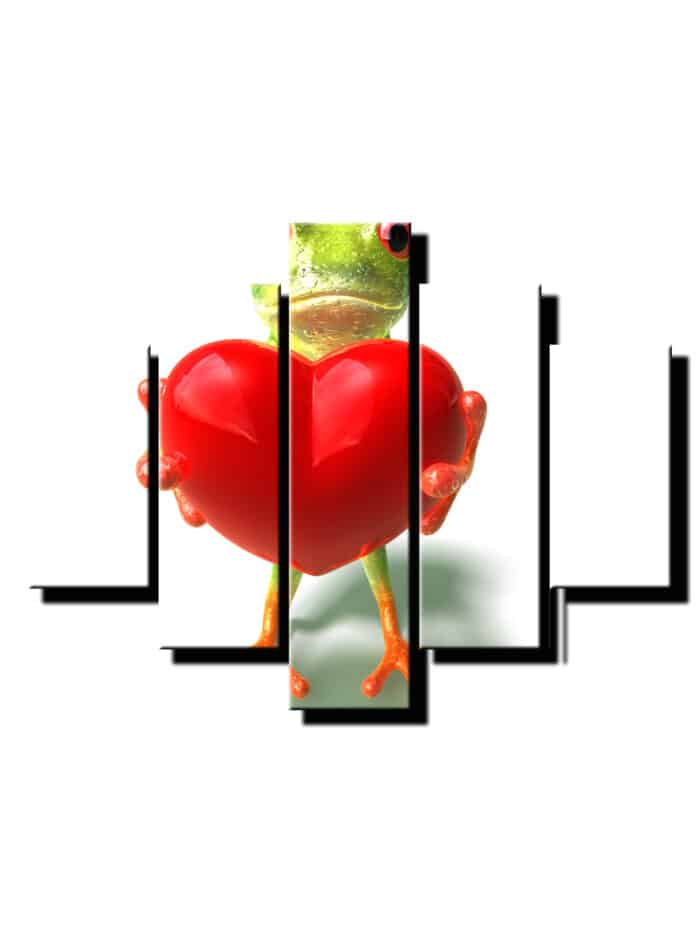 5 dielny obraz zaba so srdcom-Viac dielny obraz-Moderne obrazy na stenu-Obraz na stenu