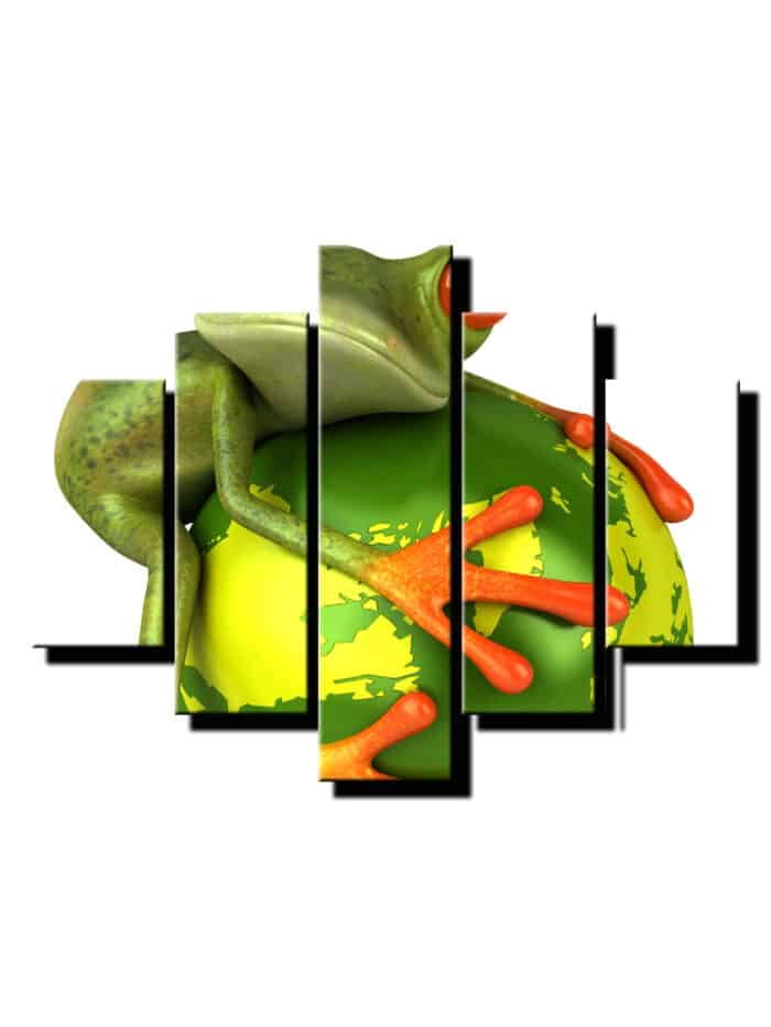 5 dielny obraz zaba so zemegulou-Viac dielny obraz-Moderne obrazy na stenu-Obraz na stenu