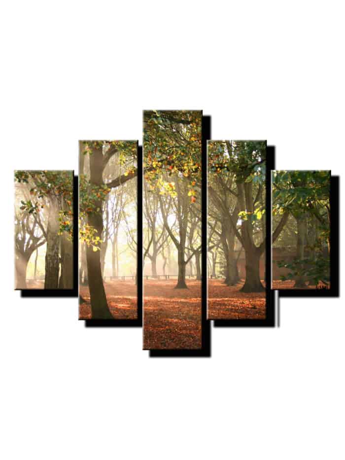 5 dieny obraz lesná čistinka-Viac dielny obraz-moderne obrazy na stenu