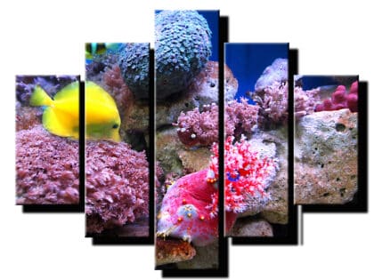 5 dieny obraz podmorsky svet-Viac dielny obraz-moderne obrazy na stenu