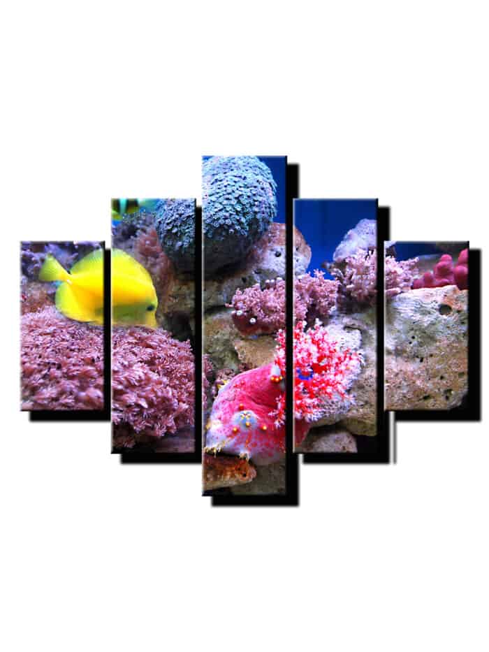 5 dieny obraz podmorsky svet-Viac dielny obraz-moderne obrazy na stenu