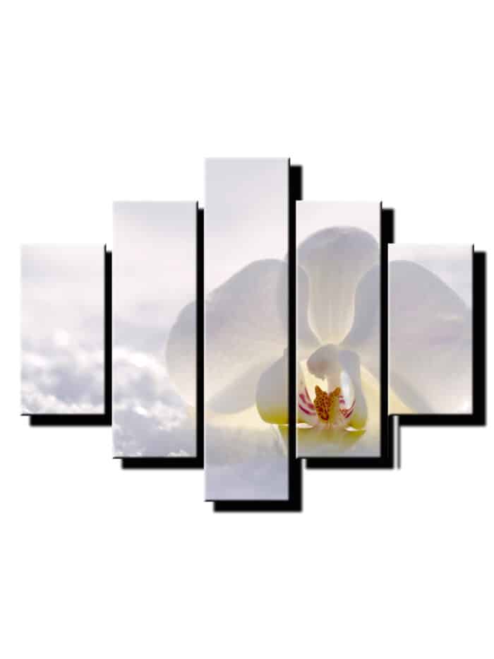 5dielny obraz biela orchidea na snehu-Viac dielny obraz-Moderne obrazy na stenu-Obraz na stenu